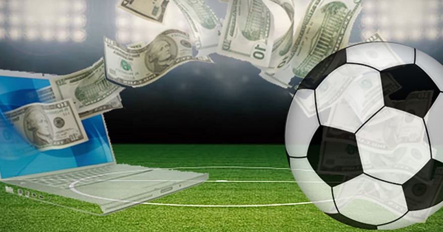 What Is The Most Profitable Sport To Bet On? | Design for Good WM